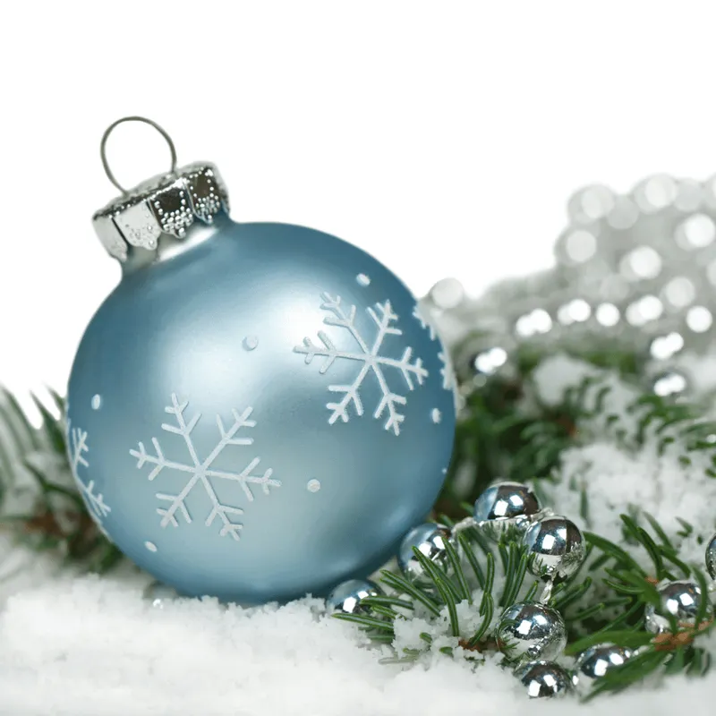 holiday accessories