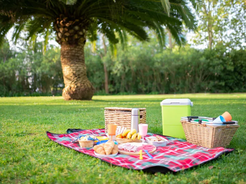 How to Plan a Picnic: A Logistics Guide